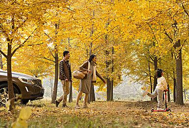 《宝可梦》X门帘逆转并非暗示乌贼王！官方致歉其实是失误